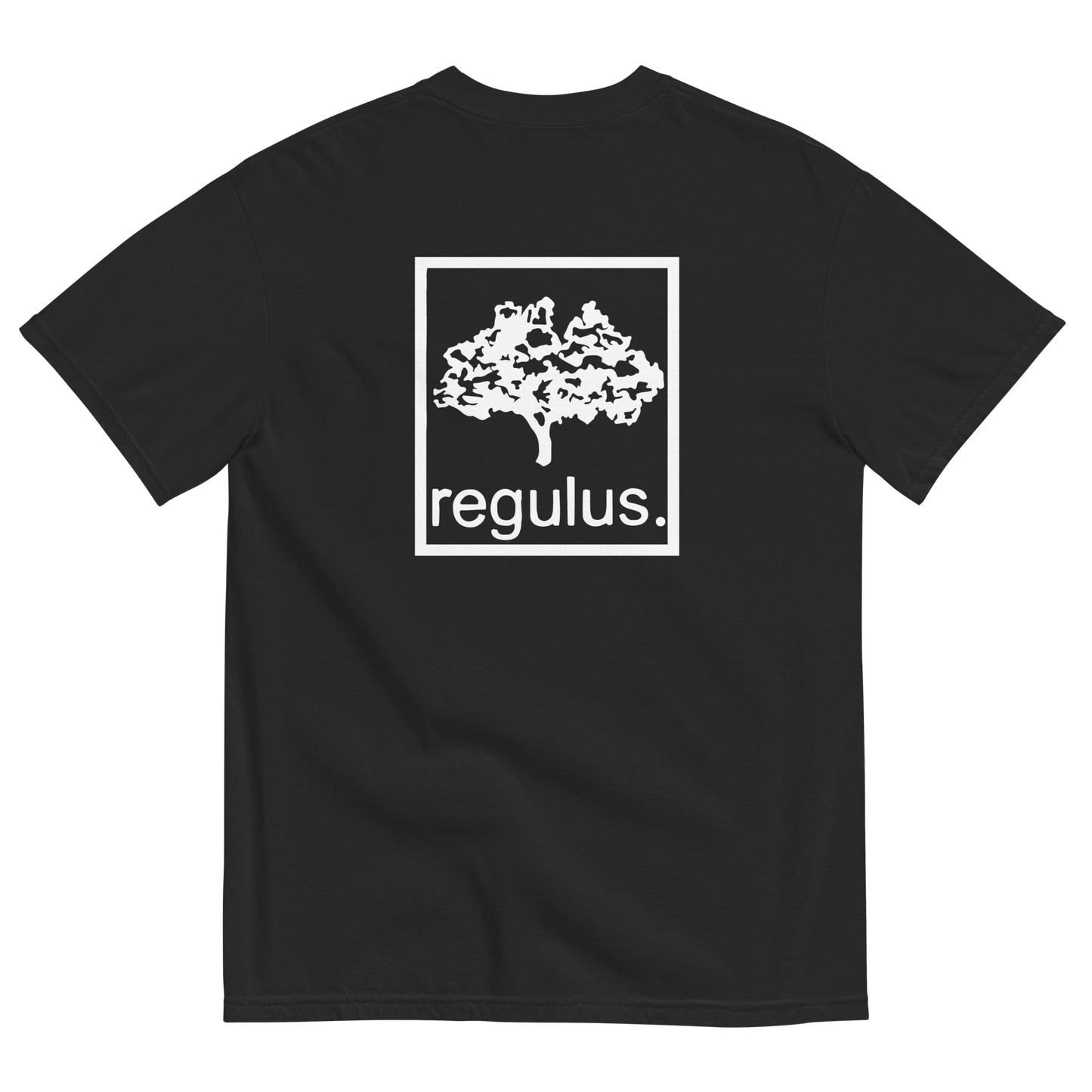 regulus team t-shirt