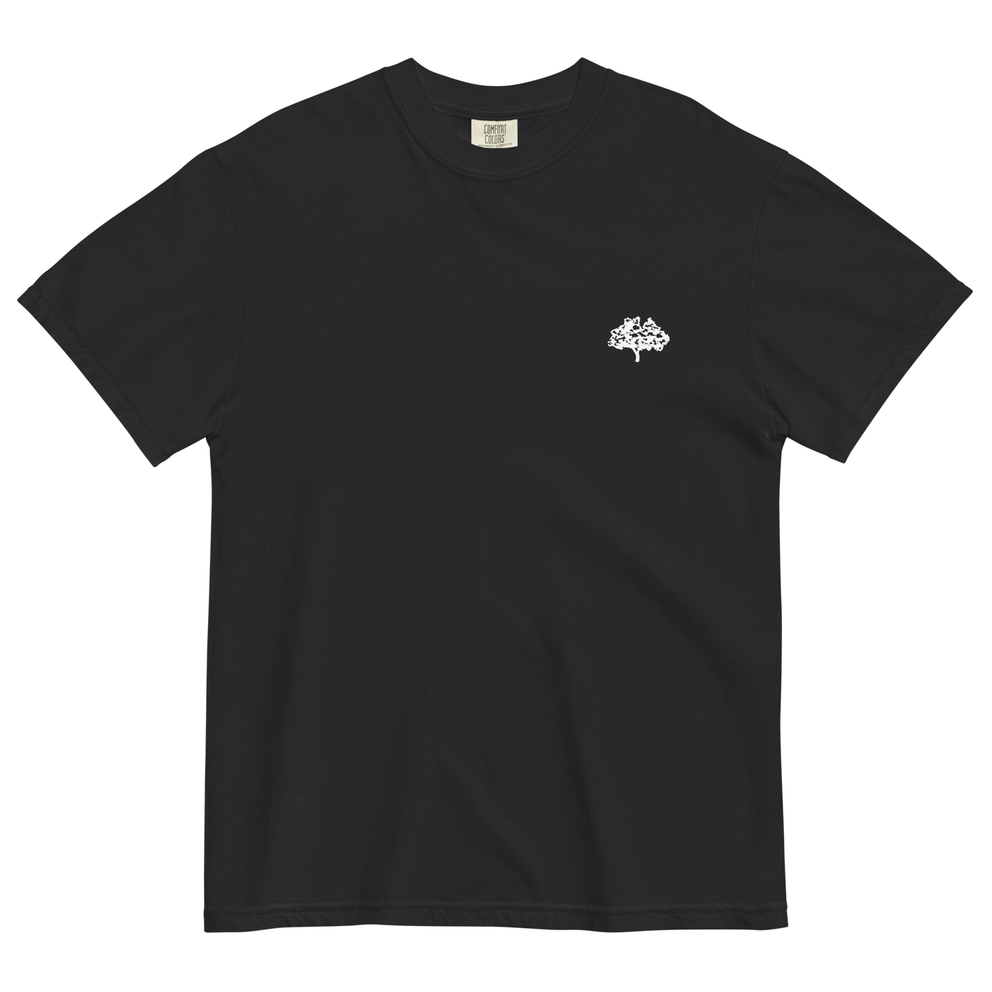 regulus team t-shirt