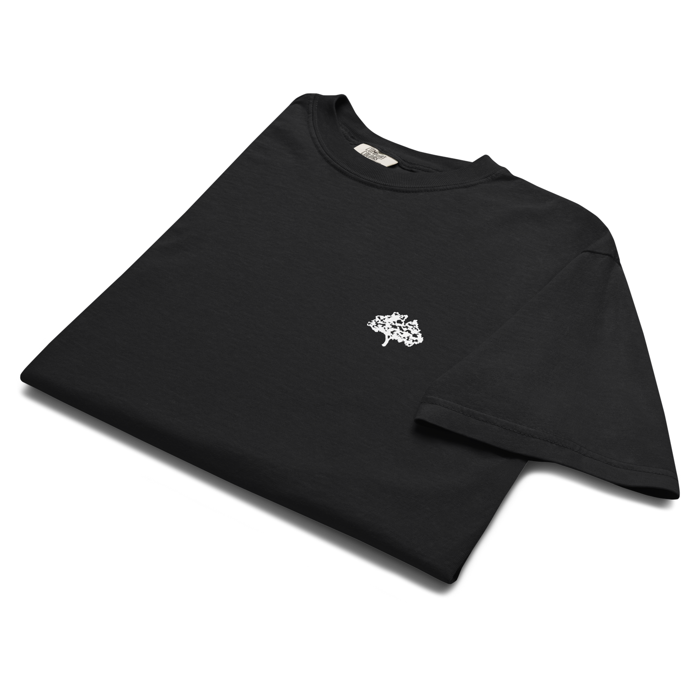 regulus team t-shirt