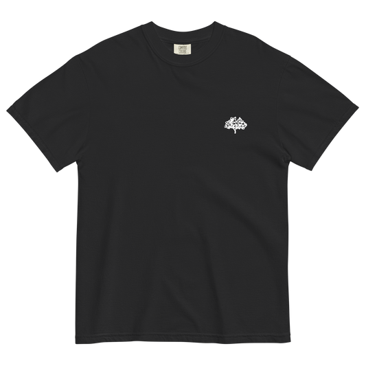 regulus team t-shirt
