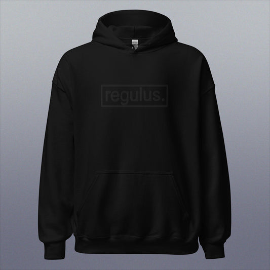 regulus. hoodie box logo (black)